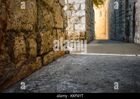 Un gatto bianco orologi come un altro gatto passeggiate lungo le mura della città vecchia di Dubrovnik, Croazia Foto Stock