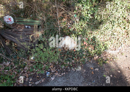 Una bombola del gas oggetto di dumping con scarti da giardino. Foto Stock