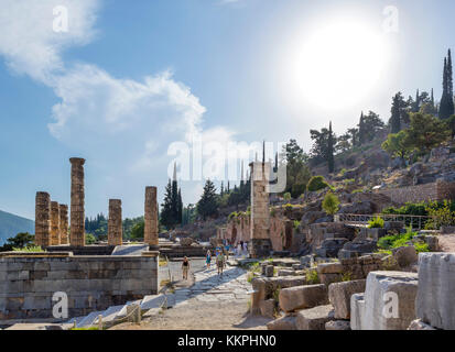 Tempio di Apollo a Delfi, Grecia Foto Stock