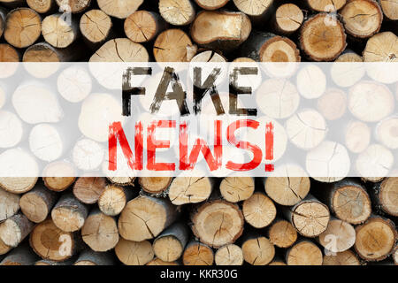 Annuncio concettuale didascalia di testo ispirazione mostra fake news concetto aziendale per il giornale di propaganda falsa notizia scritta su sfondo di legno wi Foto Stock