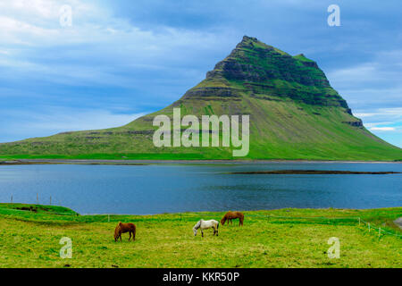 Paesaggio, cavalli e la montagna kirkjufell (chiesa montagna), nella penisola di snaefellsnes, west Islanda Foto Stock