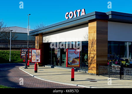 Ramo di caffè Coasta, England Regno Unito Foto Stock