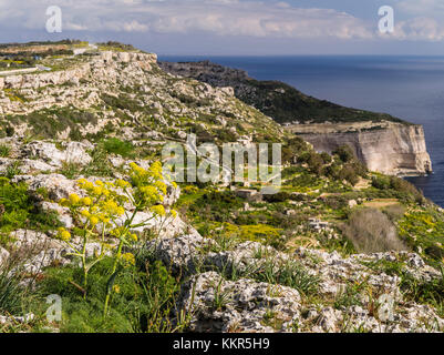 Paesaggio di Dingli Cliffs su Malta Foto Stock