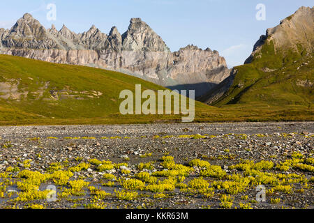 Vista del sito naturale patrimonio dell'umanità dell'UNESCO Tektonikarena Sardona vicino a Flims, Grigioni, Svizzera, Foto Stock