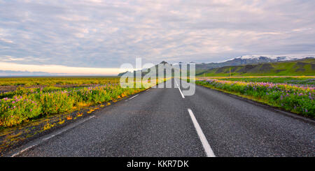 Ring Road, hringvegur, sudurland, Islanda Foto Stock