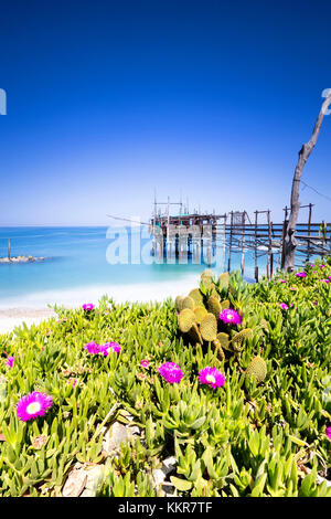 Costa di abruzzo , San Vito Chietino villaggio, mi foregroung fiori tipici , in background pesca anciente macchinari, distretto di Chieti, Abruzzo, Italia Foto Stock