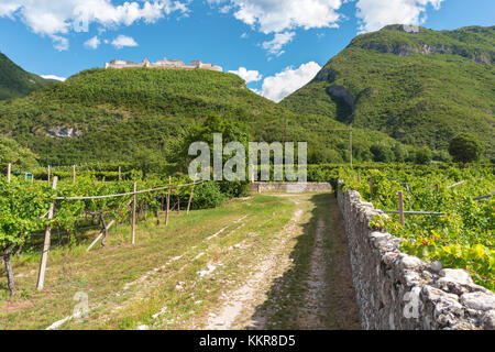 Vista sul castello di Beseno, la più grande fortezza feudale in tutto il distretto del Trentino, Italia Foto Stock