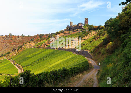 Castello Thurant al fiume Moselle Foto Stock