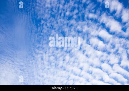 Cirrocumulus nuvole sopra wiesmoor, eastfrisa Foto Stock