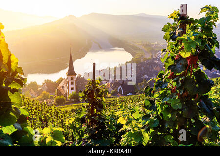 Sunrise presso il fiume Moselle piegare il villaggio bremm Foto Stock