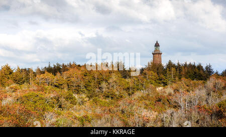 Il Lighthouse lodberg fyr vicino agger, in Danimarca è stato costruito in un bosco vicino alla costa Foto Stock