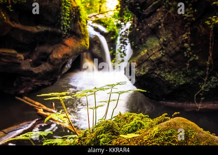 Cascate nel Mullerthal, lokally noto come Schiessentuempel Foto Stock