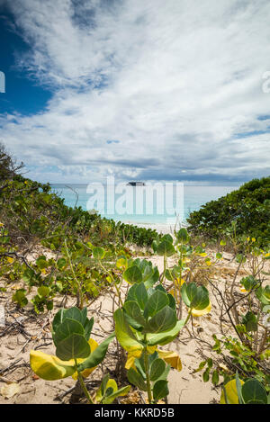 Le Indie occidentali francesi, st-barthelemy, anse de grande salina, spiaggia Foto Stock