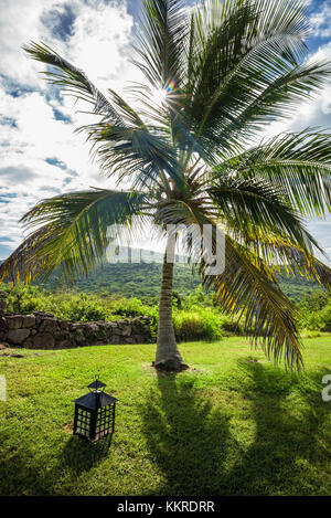 Saint Kitts e Nevis, Nevis, Cole Hill, campo Foto Stock