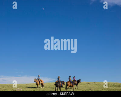 Equitazione su dude ranch Foto Stock