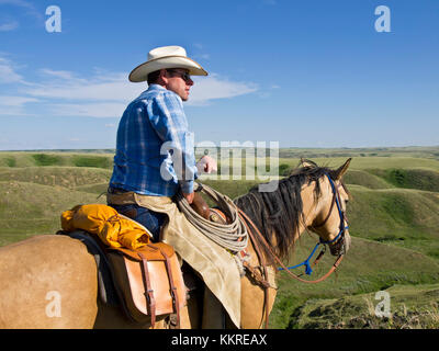 cowboy sul cavallo Foto Stock