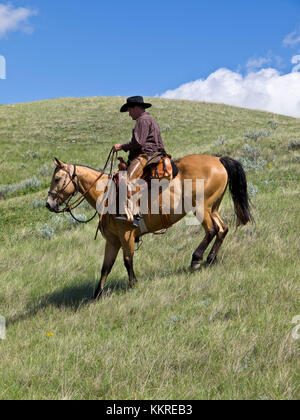 Cowboy a cavallo Foto Stock