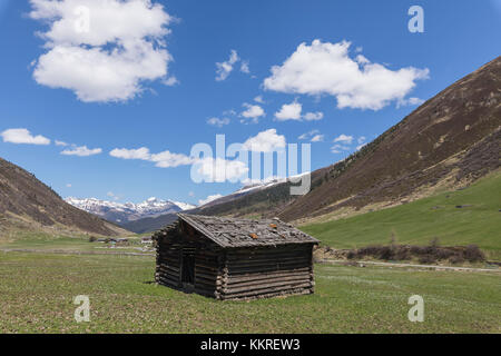 Capanna in legno nel verde dei prati in primavera, Davos Sertig Valle del cantone dei Grigioni, Svizzera Foto Stock