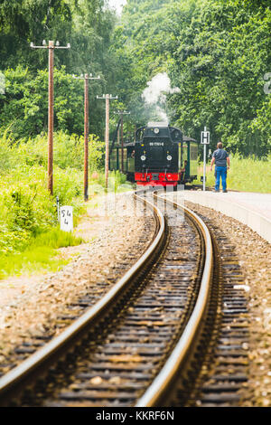 Rugen, costa baltica, Meclemburgo-Pomerania occidentale, Germania. Lo storico treno a vapore Rugensche Baderbahn chiamato 'Rasender Roland'. Foto Stock