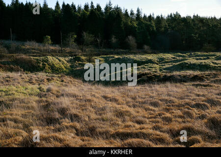 Bassa inverno il sole catture distrubed massa al priddy mineries, Mendip Hills, somerset Foto Stock