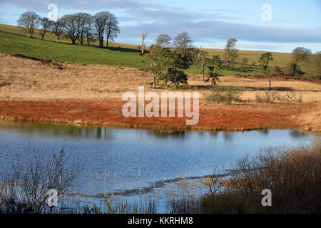 In inverno il sole in piscina waldegrave & north hill priddy mineries, Mendip Hills, somerset Foto Stock