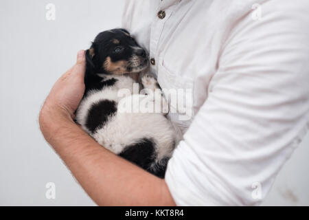 Uomo con un piccolo cucciolo nelle sue mani Foto Stock