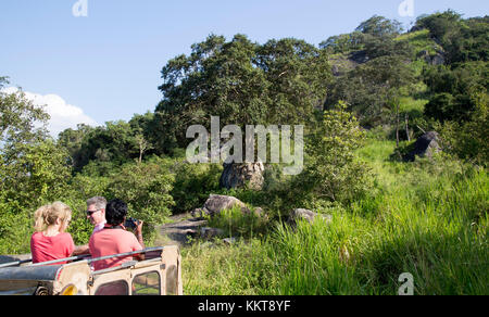 Elephant safari in Hurulu Eco Park riserva della biosfera, Habarana, Distretto di Anuradhapura, Sri Lanka, Asia Foto Stock