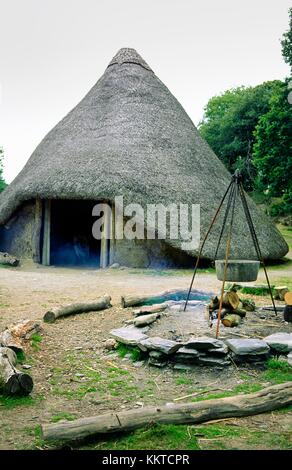 Celtic Iron Age roundhouse ricostruito su fondamenta originarie di Castell Henllys sito archeologico, Pembrokeshire, Wales UK Foto Stock