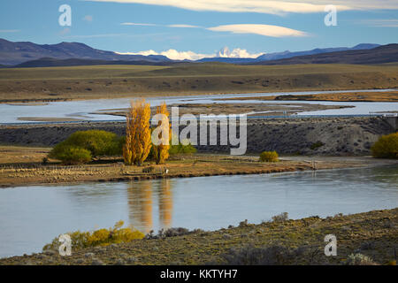 Alberi di pioppo e la leona river, Patagonia, Argentina, Sud America Foto Stock