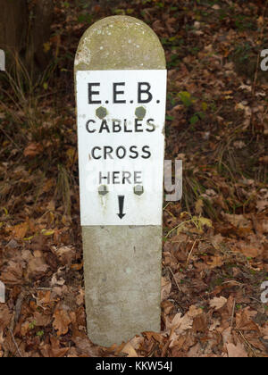 I cavi che ingombrano la pietra segno posto forest floor avvertenza; essex; Inghilterra; Regno Unito Foto Stock