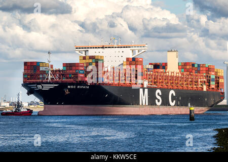 ROTTERDAM, PAESI BASSI - 2 SETTEMBRE 2017: Nave di container da MSC Global Container Shipping Company che viene inzuppata nel porto di Rotterdam. Foto Stock