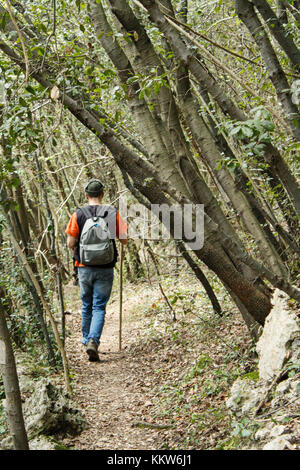 Un uomo che cammina su un sentiero attraverso la foresta verde. Foto Stock