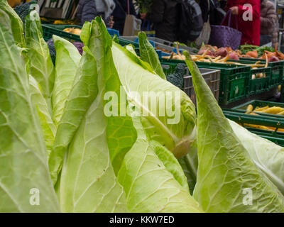 Cavolo hispi al mercato Foto Stock