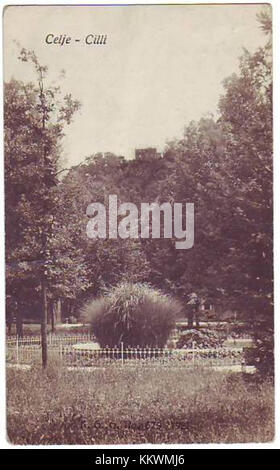 Una cartolina del 1921 di Celje, Slovenia, che offre una vista storica della città, della sua architettura e della vita quotidiana all'inizio del XX secolo. Foto Stock