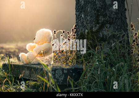 Simpatico orso di peluche giocattolo seduto su una vecchia panca di legno alla base di un albero, da soli, sotto la luce del sole di mattina. Foto Stock