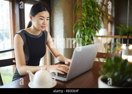 Asian imprenditrice digitando su computer portatile mentre seduti a tavola in un ufficio moderno o cafe Foto Stock