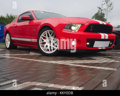 Red 2010 Ford Mustang Shelby GT500 sotto la pioggia. Questo modello è uno dei più popolari di automobili per la Mustang fan. Foto Stock