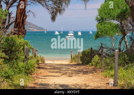 Sentiero sabbioso alla bellissima spiaggia richardsons presso il centro visitatori del Parco Nazionale di Freycinet - Coles Bay, Tasmania, Australia Foto Stock