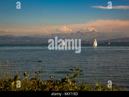 Il paesaggio del lago di Costanza o Bodensee in Germania Foto Stock