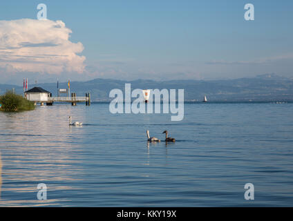 Il paesaggio del lago di Costanza o Bodensee in Germania Foto Stock