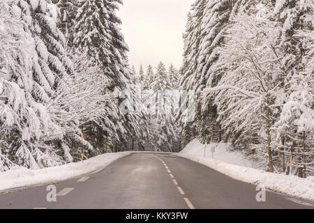 Una cancellata strada di montagna circondato da abeti innevati in inverno precoce (novembre 2017) in Vosges (Francia) Foto Stock