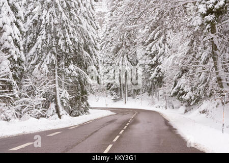 Una cancellata strada di montagna circondato da abeti innevati in inverno precoce (novembre 2017) in Vosges (Francia) Foto Stock