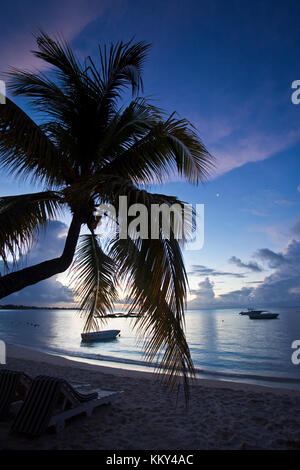 Mauritius - Africa - Grand Baie di sera Foto Stock