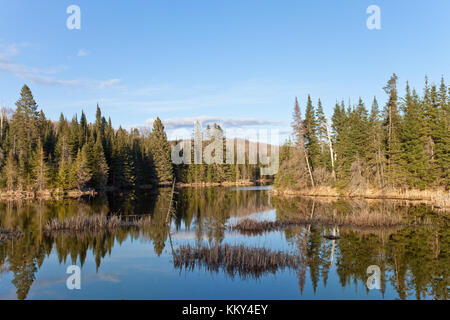 Spedizione entro Algonquin National Park - Canada Foto Stock