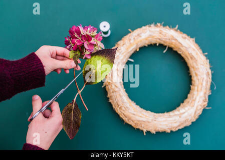 Donna, dettaglio, mani, autunno, ghirlanda di fiori di ortensie, DIY, Foto Stock