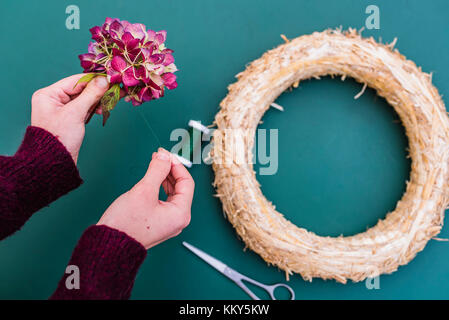 Donna, dettaglio, mani, autunno, ghirlanda di fiori di ortensie, DIY, Foto Stock