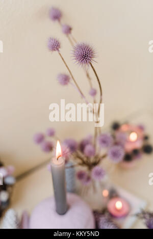 Decorazione autunnale, materiali naturali e colori pastello, candele, cardi, dettaglio, sfocatura, Foto Stock