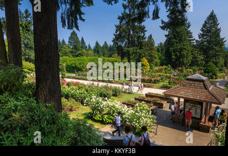 International Rose Test Garden, Portland, Oregon, Stati Uniti d'America Foto Stock