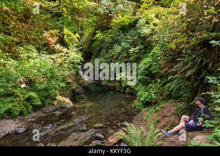 Quinault la foresta pluviale, il parco nazionale di Olympic, Washington, Stati Uniti d'America Foto Stock