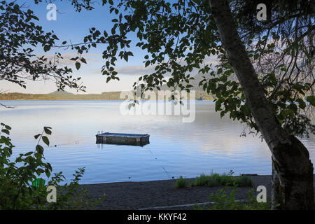 Quinault lago glaciale e scolpiti Valley, il parco nazionale di Olympic, Washington, Stati Uniti d'America Foto Stock